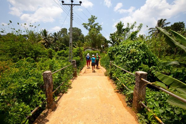 Voyage en famille au Sri Lanka : entre culture et aventure